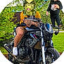 Cameron joined the competition — help win amazing prizes! toddler, motorcycle, person, grinch_mask, outdoor, greenery, grass, tree, helmet, knitted_hat, black_clothing, white_shoes, tattoo, bike, road, smile, face_mask, funny, edited_photo, child
