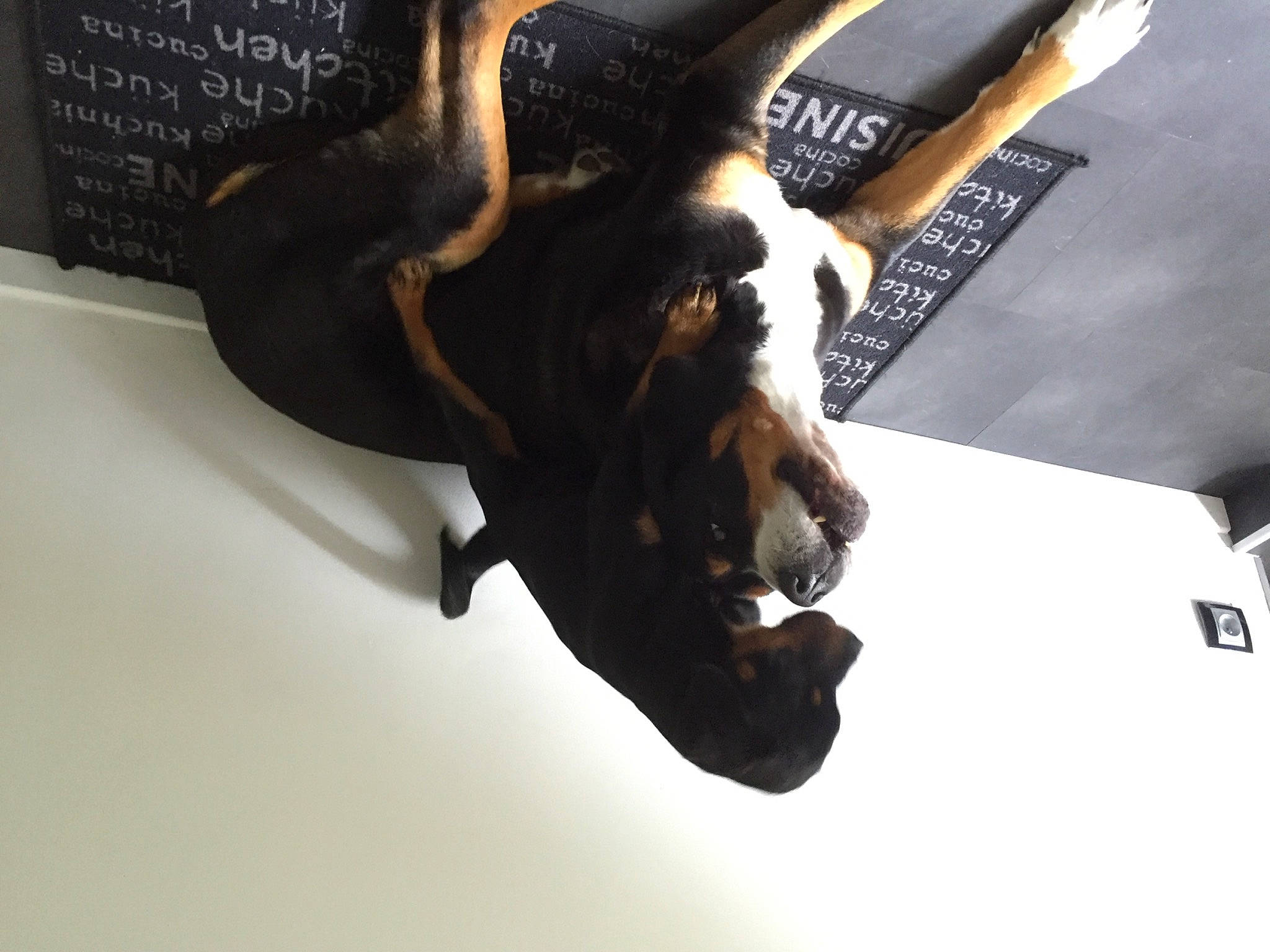 Byzance participe au concours pour gagner de l'argent avec cette photo : art, elbow, font, gesture, metal, room