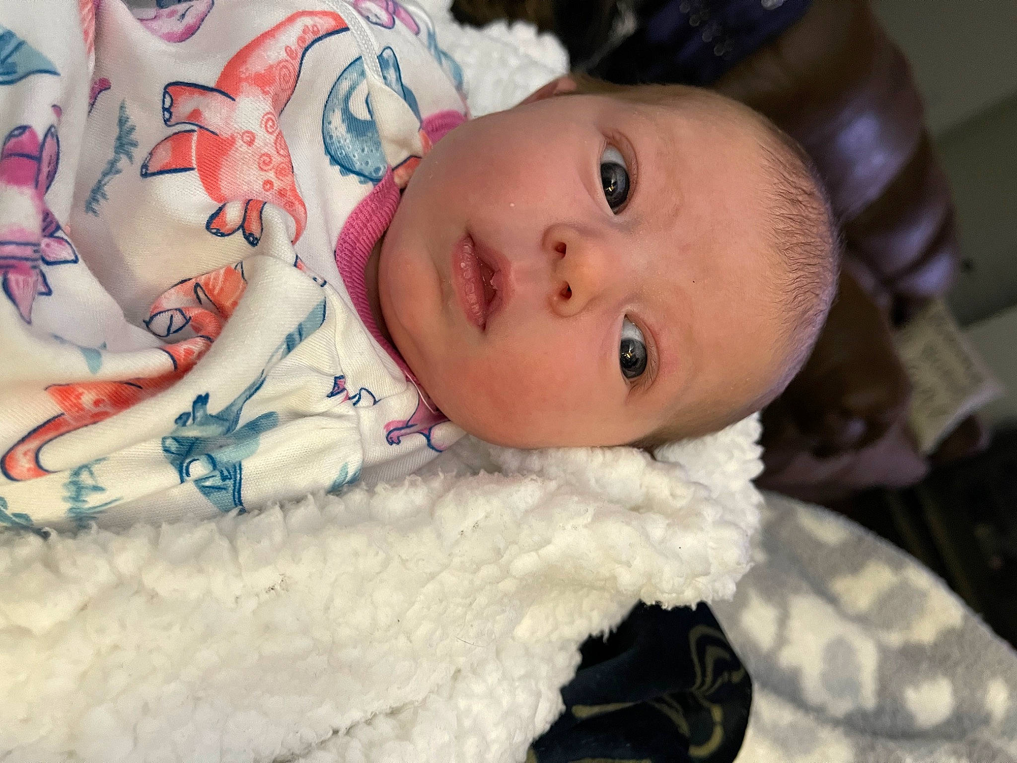 Wren joined the competition — help win amazing prizes! baby, baby_toddler_clothing, carmine, cheek, child, event, eye, eyebrow, eyelash, fun, fur, happy, iris, linens, lip, nose, person, portrait_photography, skin, toddler