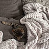 animal, blanket, cat, comfort, couch, cozy, cute, domestic, feline, fur, home, indoor, pet, plush_toy, relaxation, resting, sleeping, snuggled, soft_texture, tabby