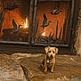 animal, brown_dog, calm, collar, cozy, cute, decorative_screen, dog, fire, fireplace, indoors, metal_ducks, pet, relaxed, rustic, sitting, small_dog, stone_hearth, tag, warm
