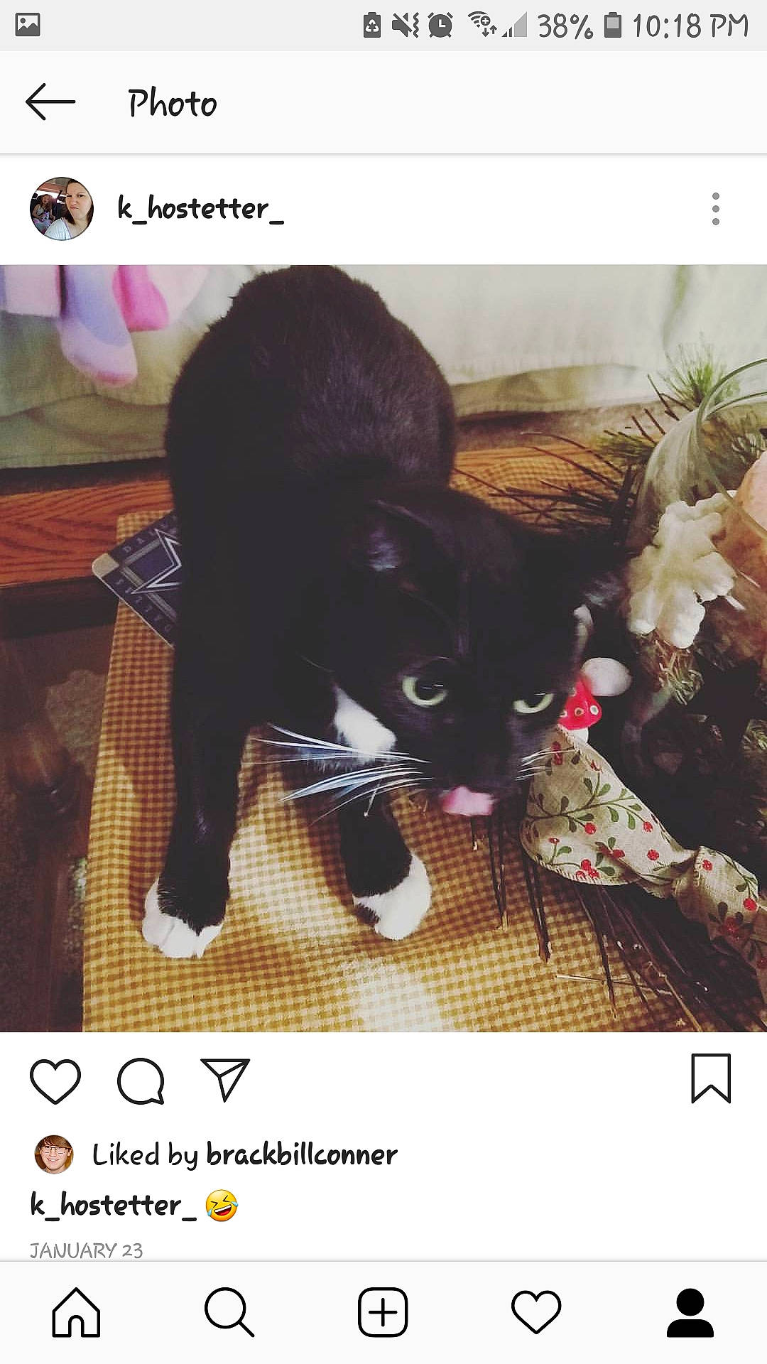 Checkers joined the competition — help win amazing prizes! black_cat, cat, cat_like_mammal, font, headwear, joy, person, photo_caption, screenshot, small_to_medium_sized_cats, snout, whiskers