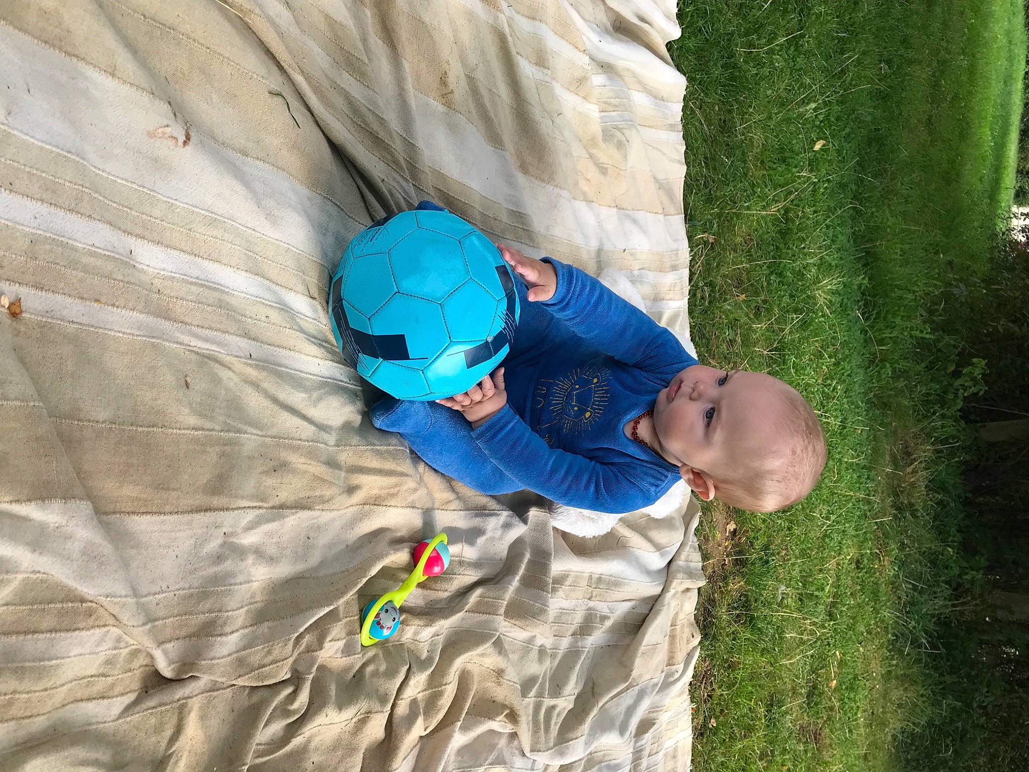 Mylan a rejoint le concours — aidez-le/la à gagner de superbes lots ! adventure, child, electric_blue, fun, grass, landscape, leaf, leisure, natural_environment, outdoor_recreation, people_in_nature, person, plant, recreation, sitting, t_shirt, toddler, tree, trunk, wood