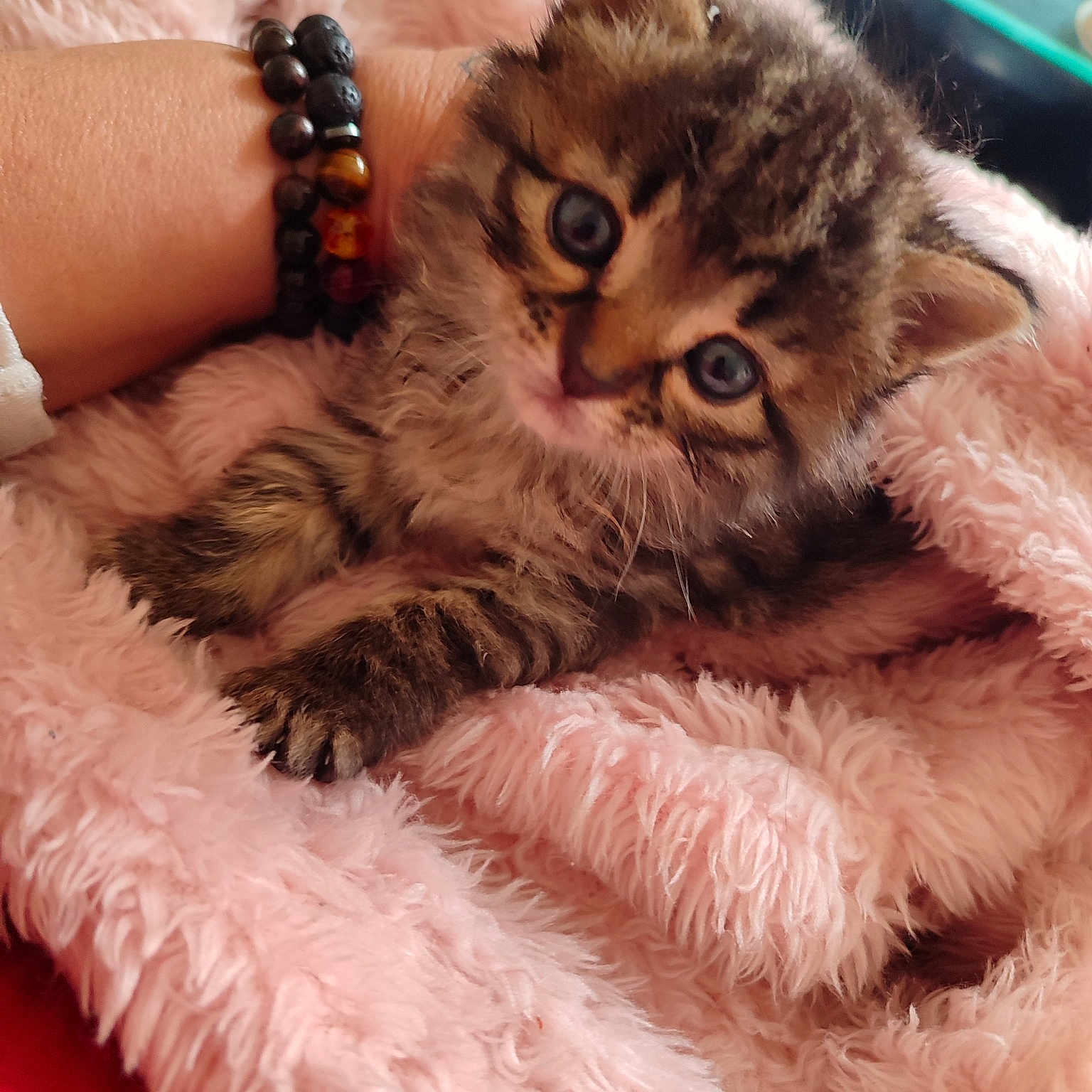 Kira