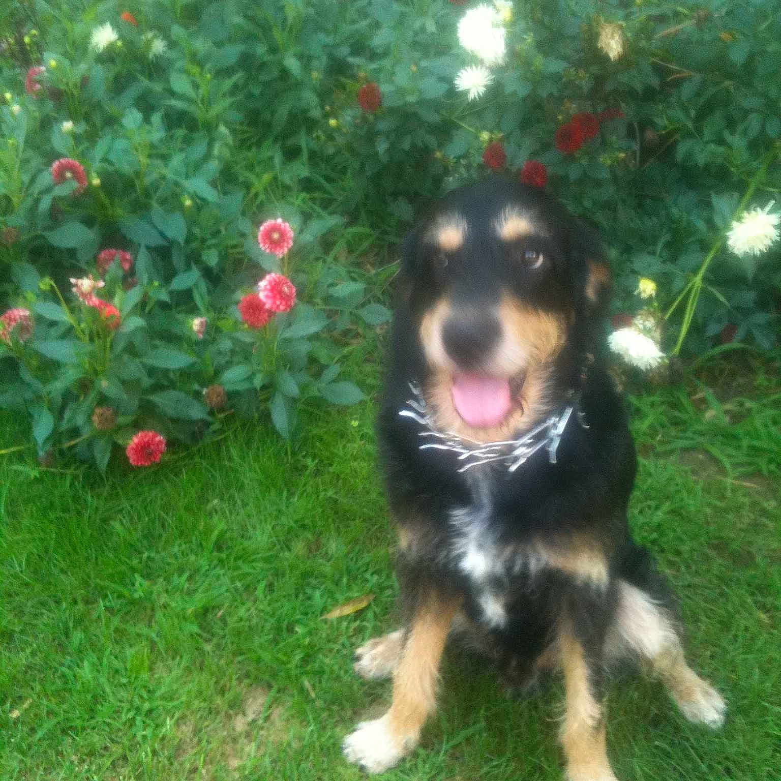 Fifty a rejoint le concours — aidez-le/la à gagner de superbes lots !