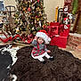 baby, child, christmas_tree, santa_hat, holiday, presents, gift_wrapping, rug, plush, rocking_horse, stockings, fireplace, decorations, indoor, festive, toddler, cute, smiling, cozy, holiday_season
