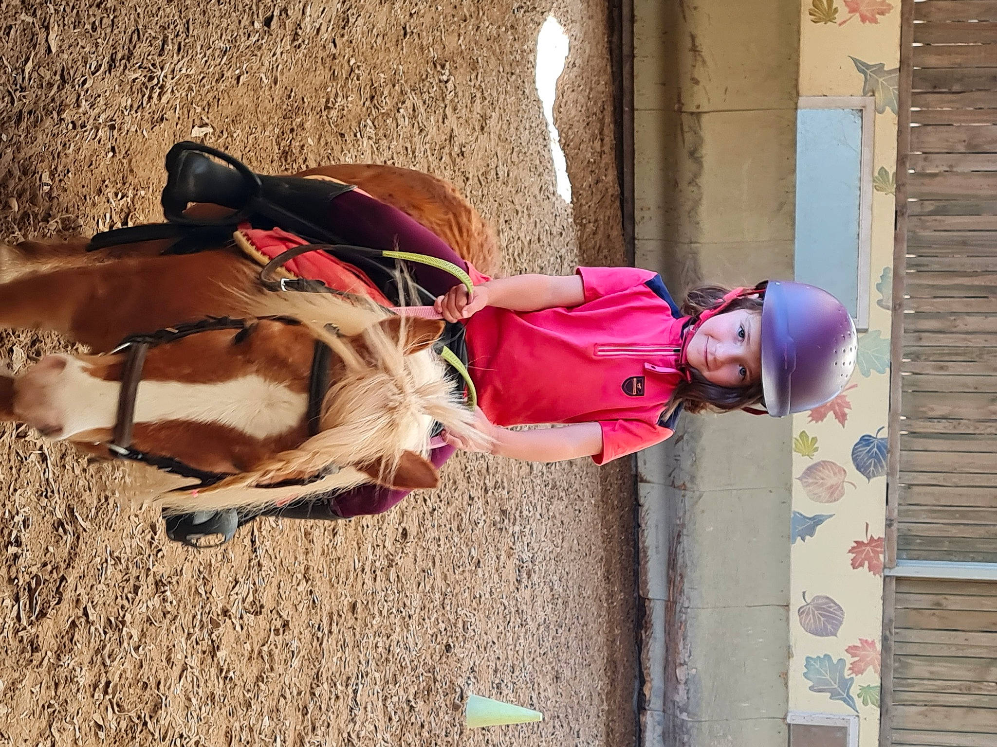 Eléna participe au concours pour gagner de l'argent avec cette photo : bridle, carnivore, dog_breed, eyewear, fun, headwear, helmet, horse_supplies, horse_tack, joy, landscape, leg, leisure, magenta, mare, person, pink, recreation, saddle, smile