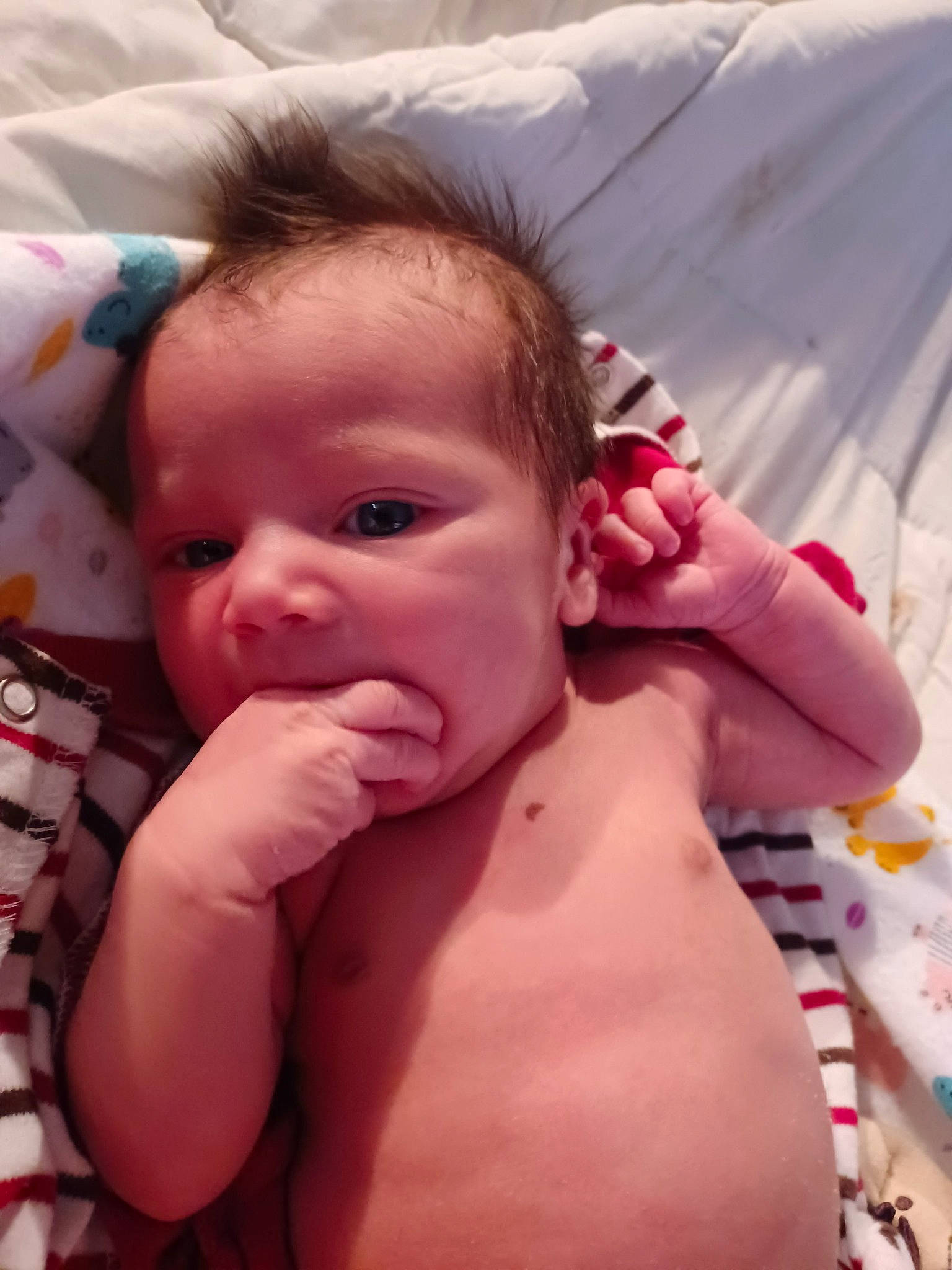 Legacy joined the competition — help win amazing prizes! arm, cheek, chin, eye, eyebrow, eyelash, face, facial_expression, forehead, hair, hairstyle, hand, head, human, human_body, lip, mouth, neck, nose, person