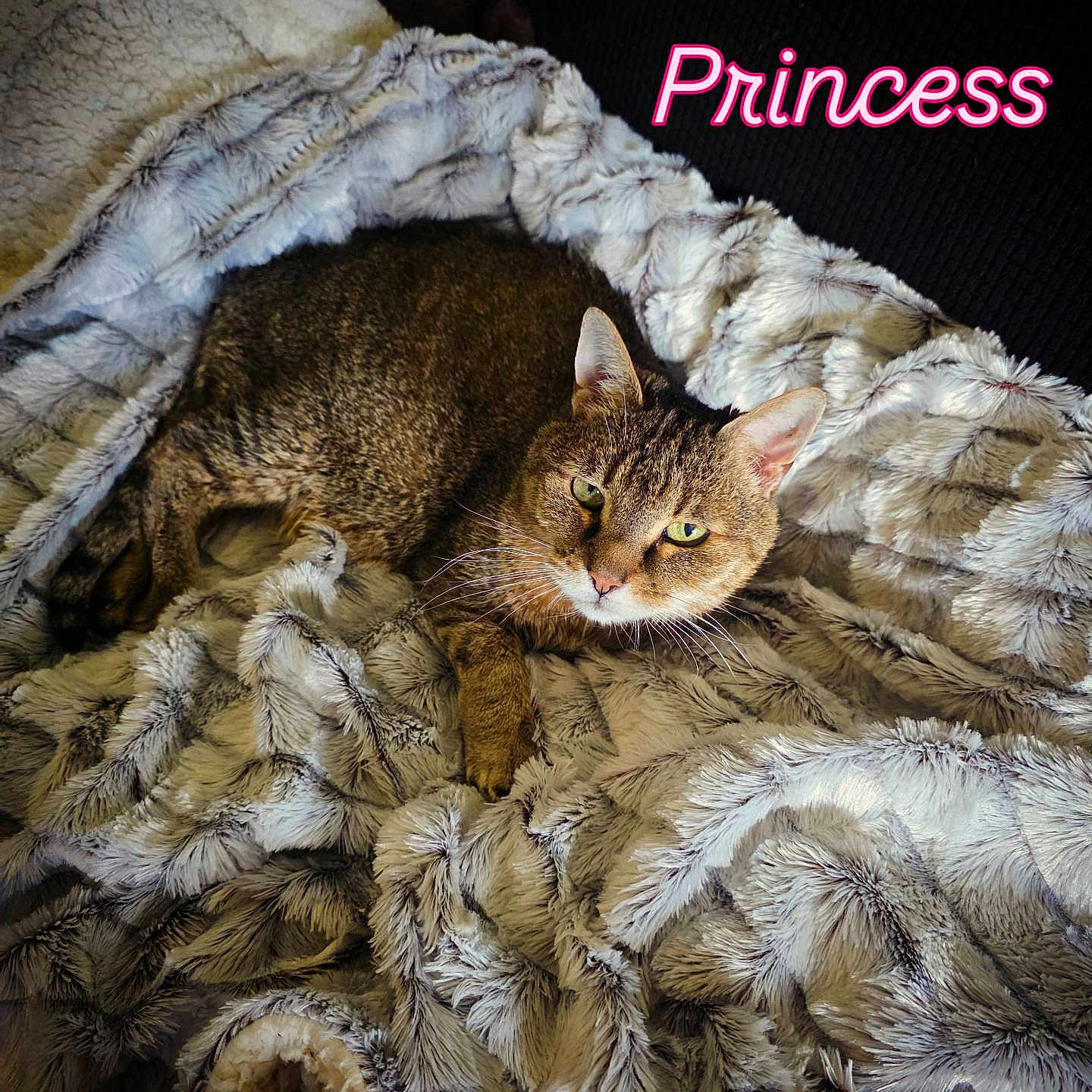 Princess