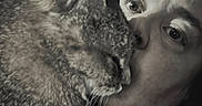Princess is registered to the contest to win money with this photo: affection, black_and_white, cat, cheek, close_up, companion, cuddling, eyes, face, fur, indoor, nose, person, pet, photograph, portrait, snuggling, soft_focus, tabby_cat, whiskers