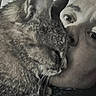Princess joined the competition — help win amazing prizes! affection, animal, cat, cheek_to_cheek, close_up, companion, cozy, cuddling, eyes, face, fur, grayscale, indoor, monochrome, person, pet, portrait, soft_lighting, tabby_cat, whiskers