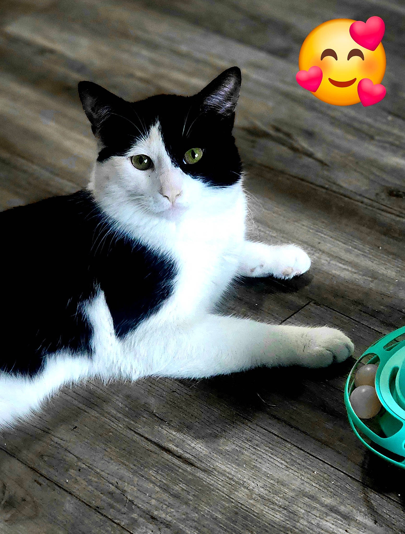 Oreo