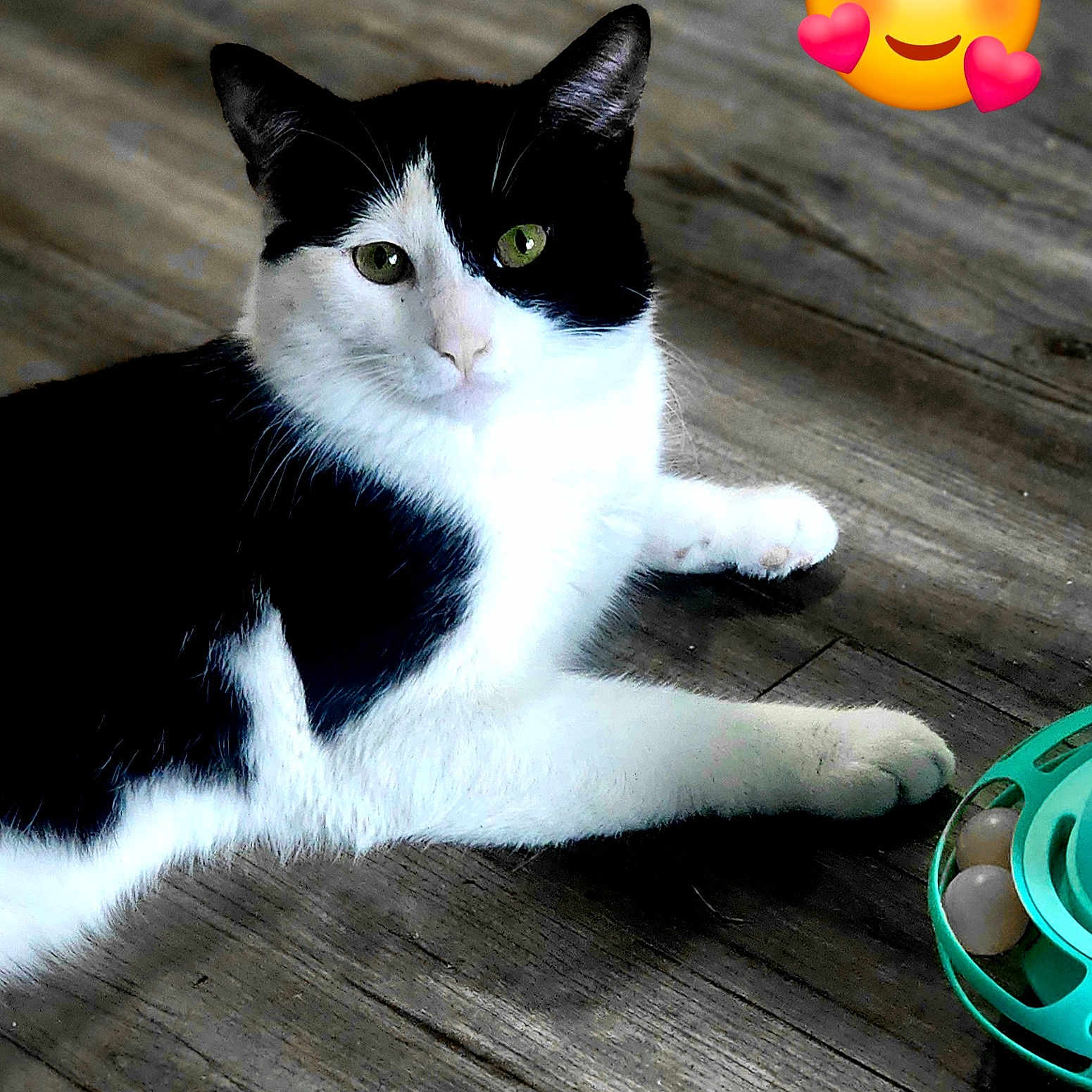 Oreo