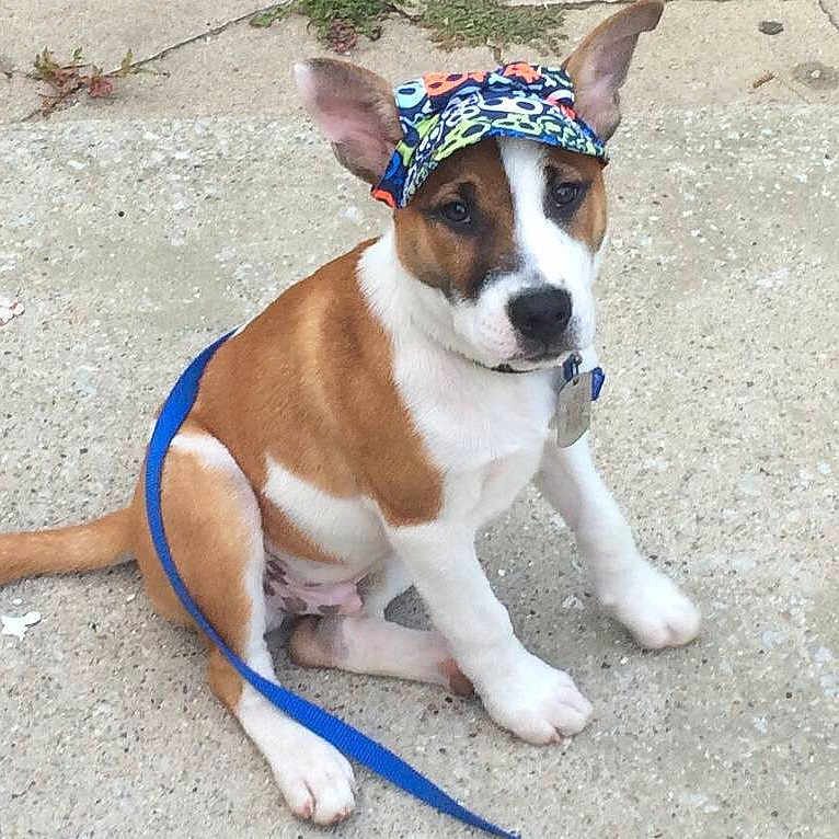 Tyson