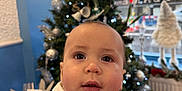 Enzo is registered to the contest to win money with this photo: baby, child, indoor, christmas_tree, holiday, festive, ornaments, lights, sweater_vest, shirt, face, portrait, curious, person, hand, window, decor, seasonal, smile, young