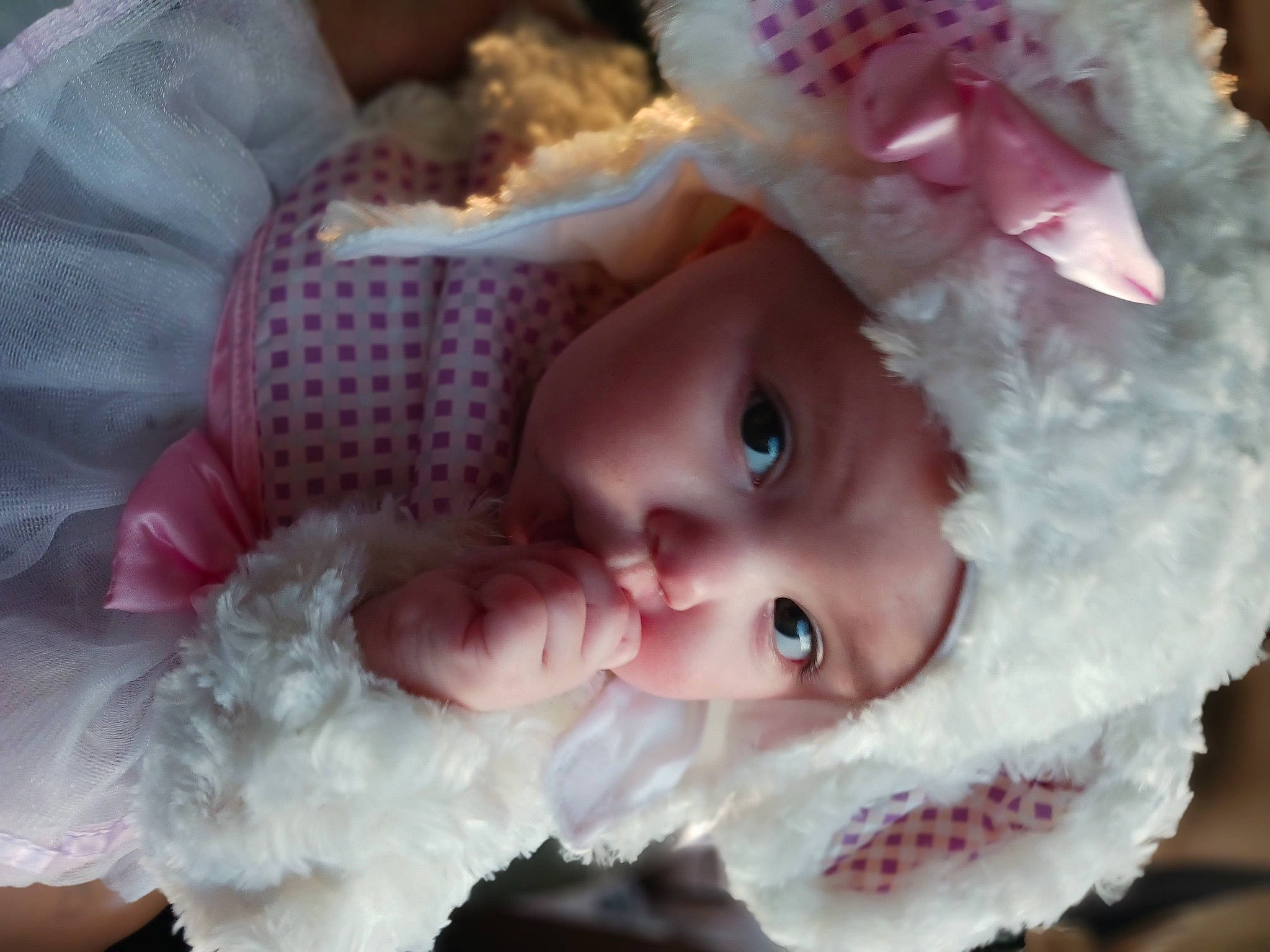 Briella is registered to the contest to win money with this photo: baby, baby_products, baby_toddler_clothing, cheek, child, eye, eyelash, fur, grass, happy, headgear, headwear, iris, lip, nose, person, pink, plant, skin, textile