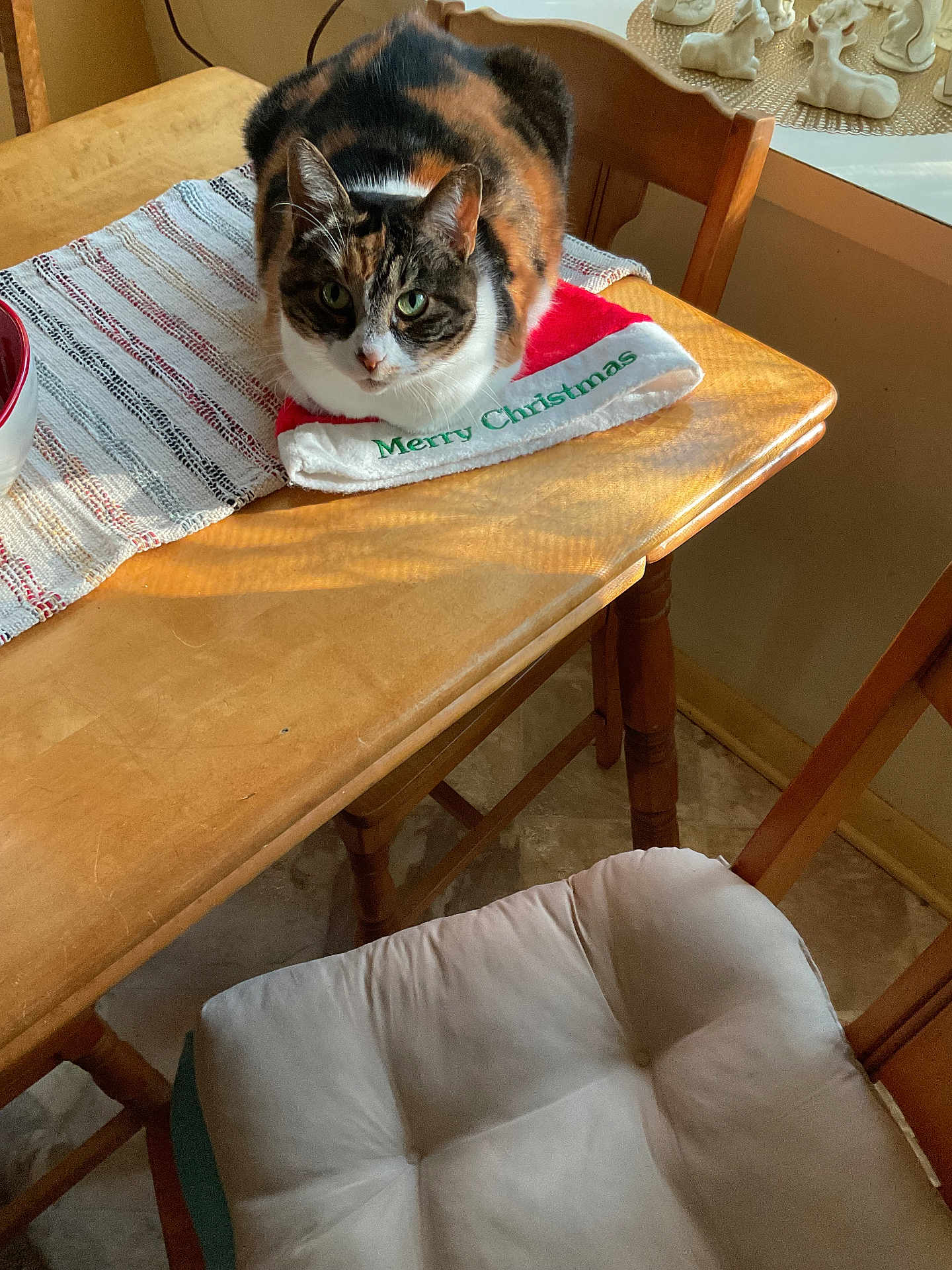 Gracie joined the competition — help win amazing prizes! cat, calico, table, wooden_table, christmas, holiday, indoor, chair, cushion, decor, figurines, pet, animal, feline, green_eyes, striped, cozy, warm_light, home, resting