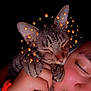 Patchy is registered to the contest to win money with this photo: bracelet, cat, close_up, closed_eyes, cozy, cute, dark_background, emoji_effect, face, fire_emoji, fur, hand, peaceful, person, piercing, sleeping_cat, snuggling, sparkle_emoji, tabby_cat, whiskers