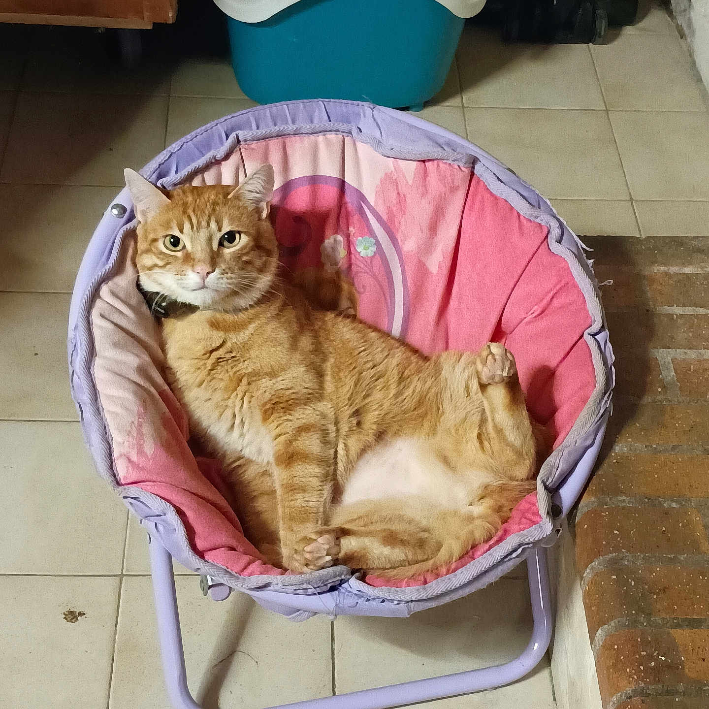 José