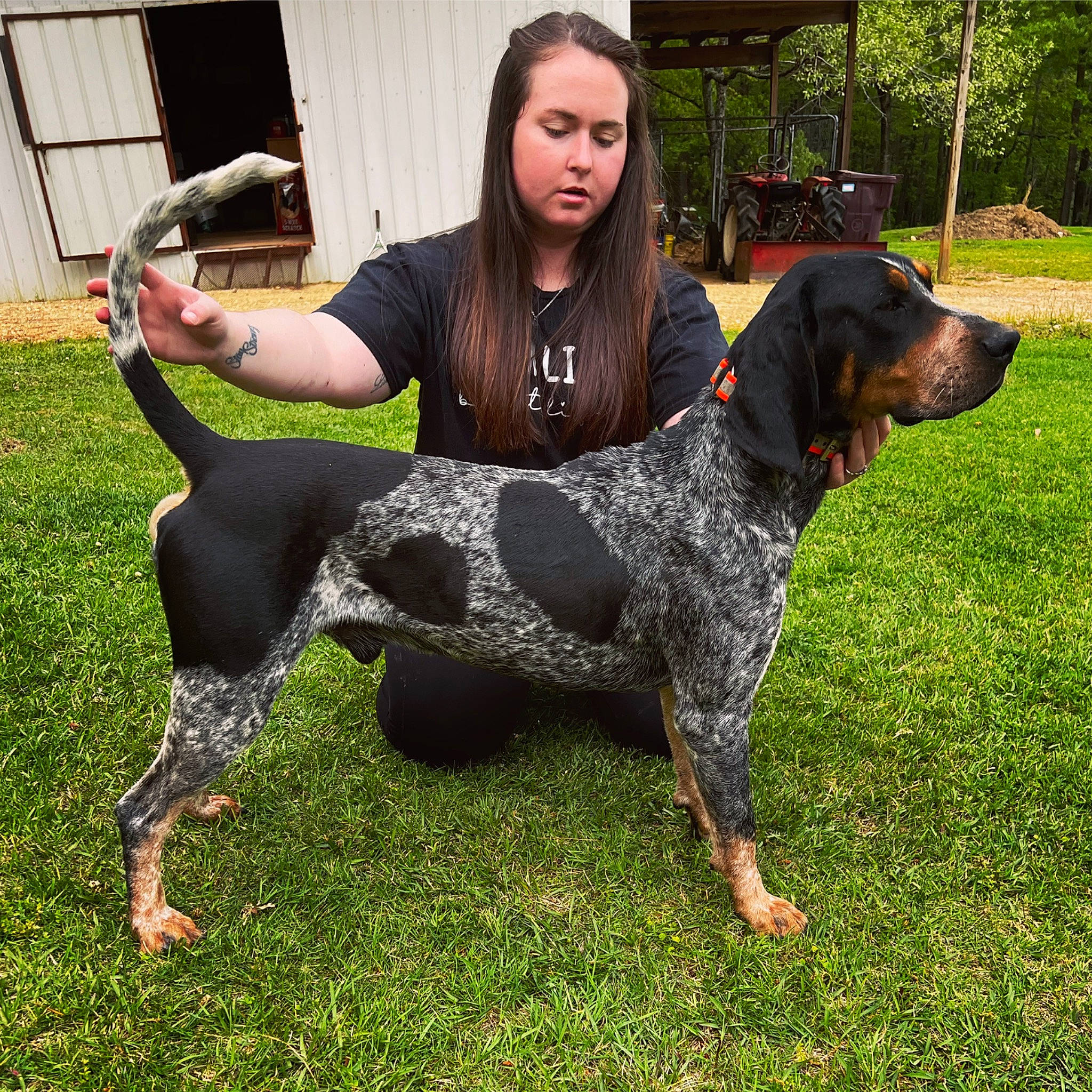 Dan is registered to the contest to win money with this photo: camouflage, canidae, carnivore, chair, companion_dog, dog, dog_breed, foot, grass, guard_dog, hunting_dog, leggings, leisure, military_camouflage, pattern, plant, sitting, sporting_group, t_shirt, working_dog