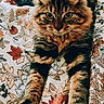 animal, bed, blanket, cat, closeup, cozy, cute, ears, feline, floral_pattern, fluffy, fur, indoor, looking, paws, pet, relaxed, stretching, tabby_cat, whiskers