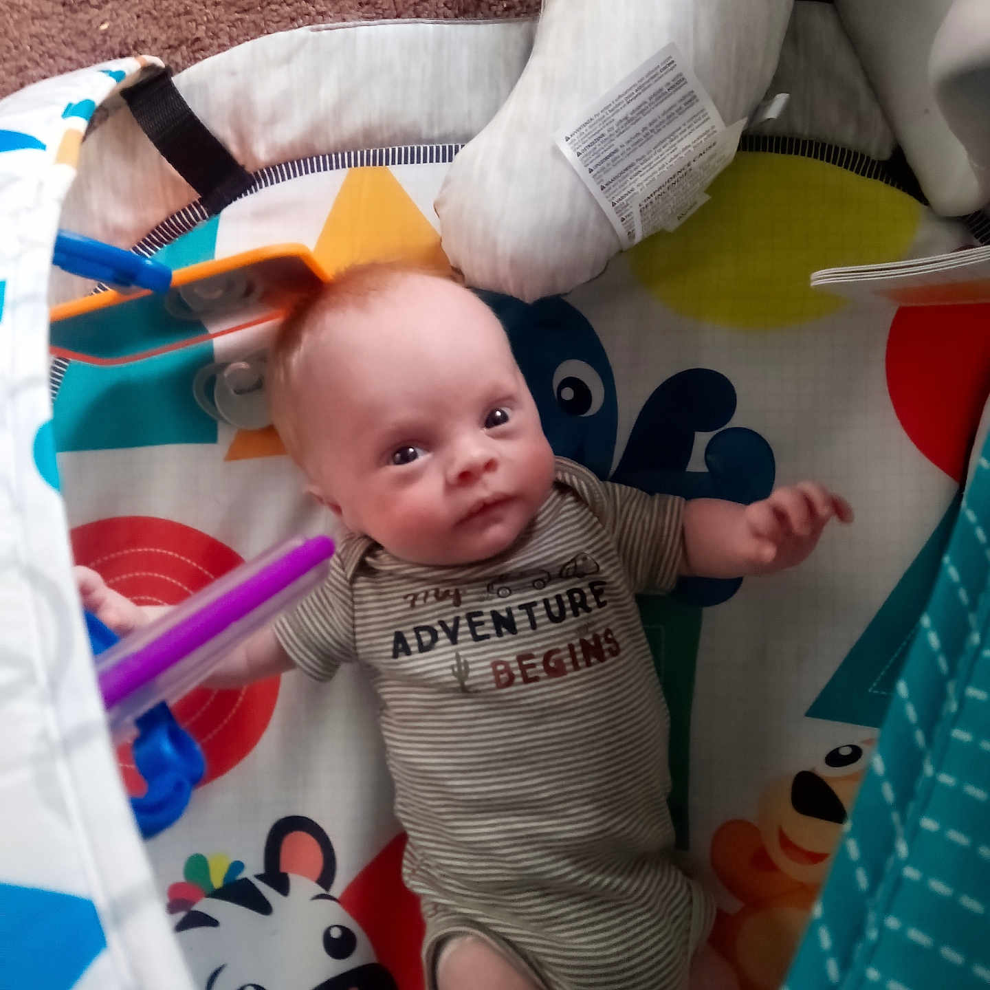 Eli joined the competition — help win amazing prizes! baby, bed, bodypart, clothing, couch, cradle, crib, cushion, face, finger, furniture, hand, hat, head, homedecor, infantbed, newborn, person, photography, portrait