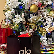 Cleopatra joined the competition — help win amazing prizes! cat, hairless_cat, shopping_bag, christmas_tree, christmas_decorations, white_poinsettias, gold_ornaments, colorful_lights, wrapped_presents, red_sweater, gold_necklace, holiday, festive, indoor, decor, gift, celebration, pet, box, tree