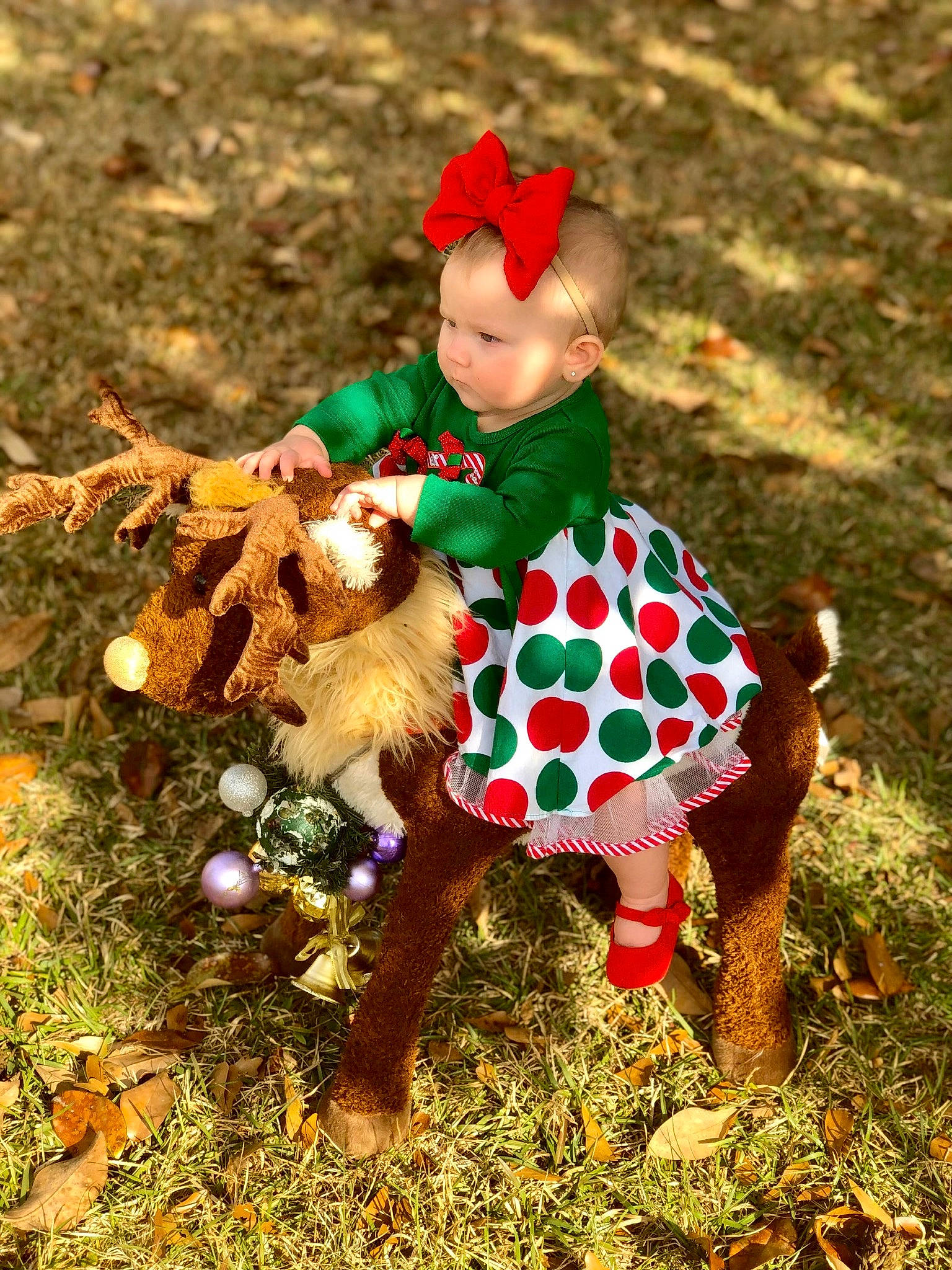 Adaleigh is registered to the contest to win money with this photo: canidae, christmas, christmas_ornament, fawn, figurine, grass, lawn_ornament, leaf, ornament, person, toy, tree