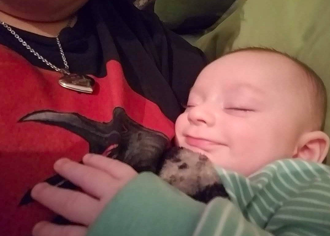 Logan joined the competition — help win amazing prizes! baby, comfort, companion_dog, dog_breed, ear, fawn, felidae, finger, gesture, hand, happy, iris, mammal, nail, nose, person, skin, small_to_medium_sized_cats, toddler, vertebrate