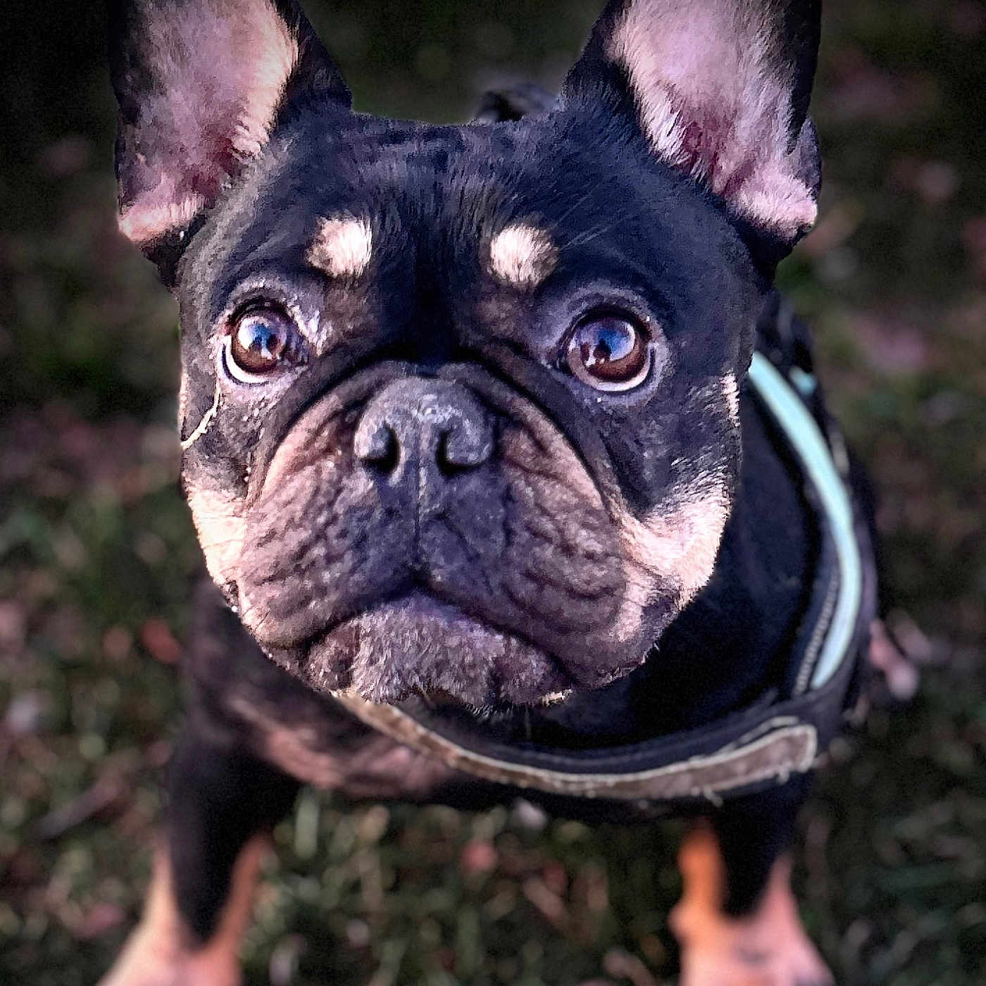 Ruby