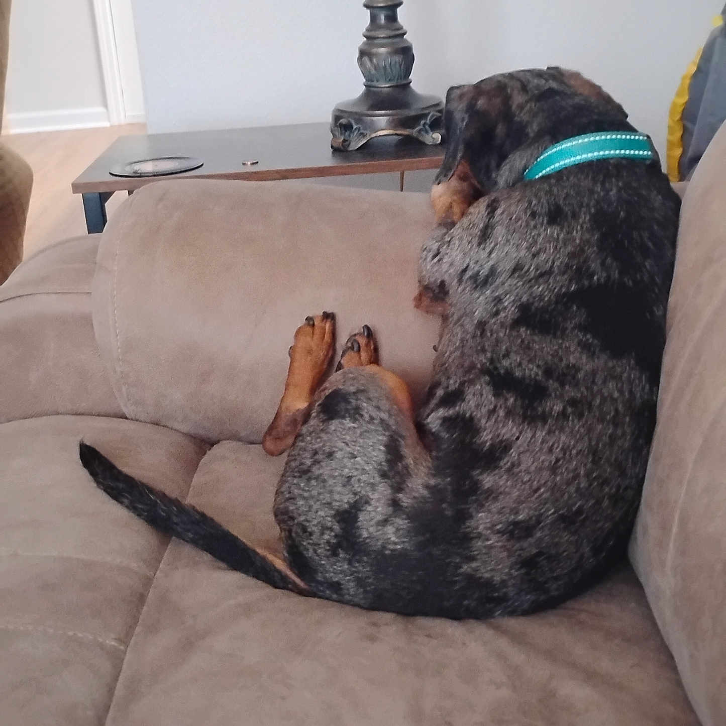 Oscar