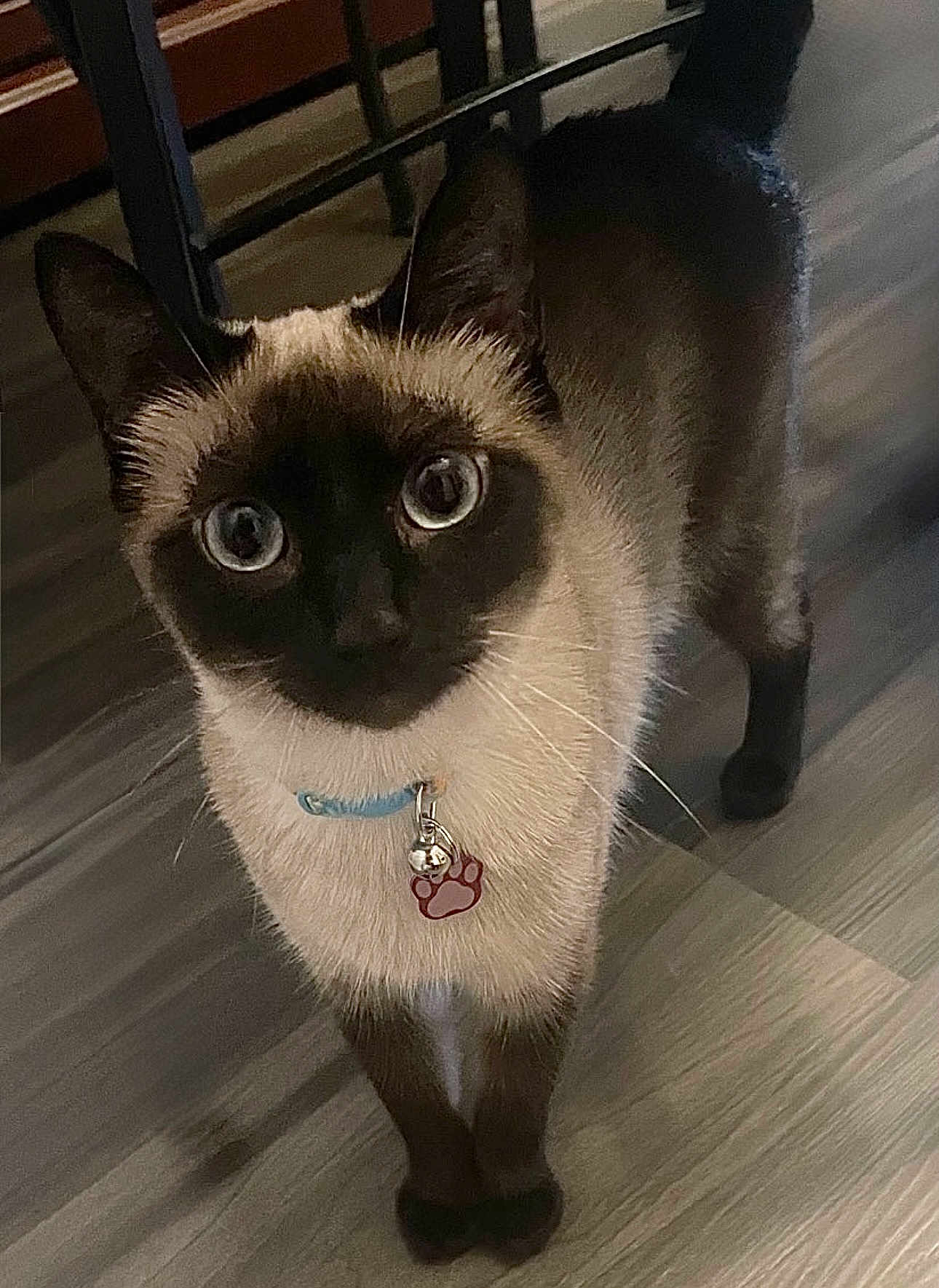 Mia