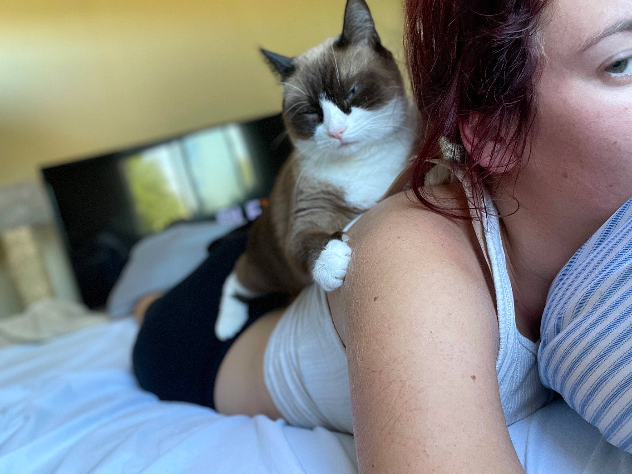 Kiara joined the competition — help win amazing prizes! arm, bed, carnivore, cat, comfort, domestic_short_haired_cat, elbow, eyebrow, eyelash, felidae, finger, fur, gesture, happy, human_leg, nail, plant, small_to_medium_sized_cats, tree, whiskers