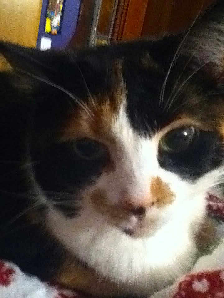 Lucy