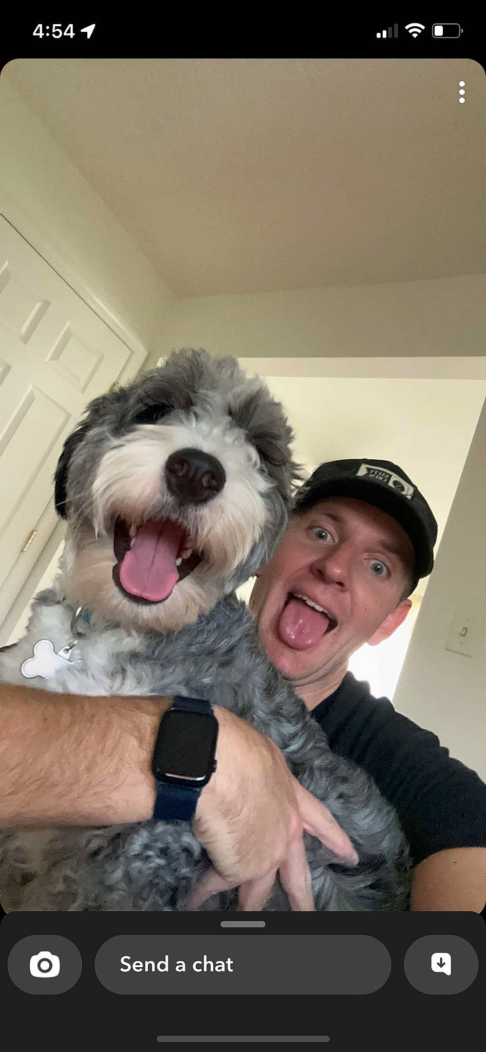 Sailor is registered to the contest to win money with this photo: baseball_cap, canidae, cap, carnivore, comfort, companion_dog, dog, dog_breed, fang, fur, gesture, happy, hat, sitting, small_terrier, smile, sporting_group, terrier, toy_dog, watch