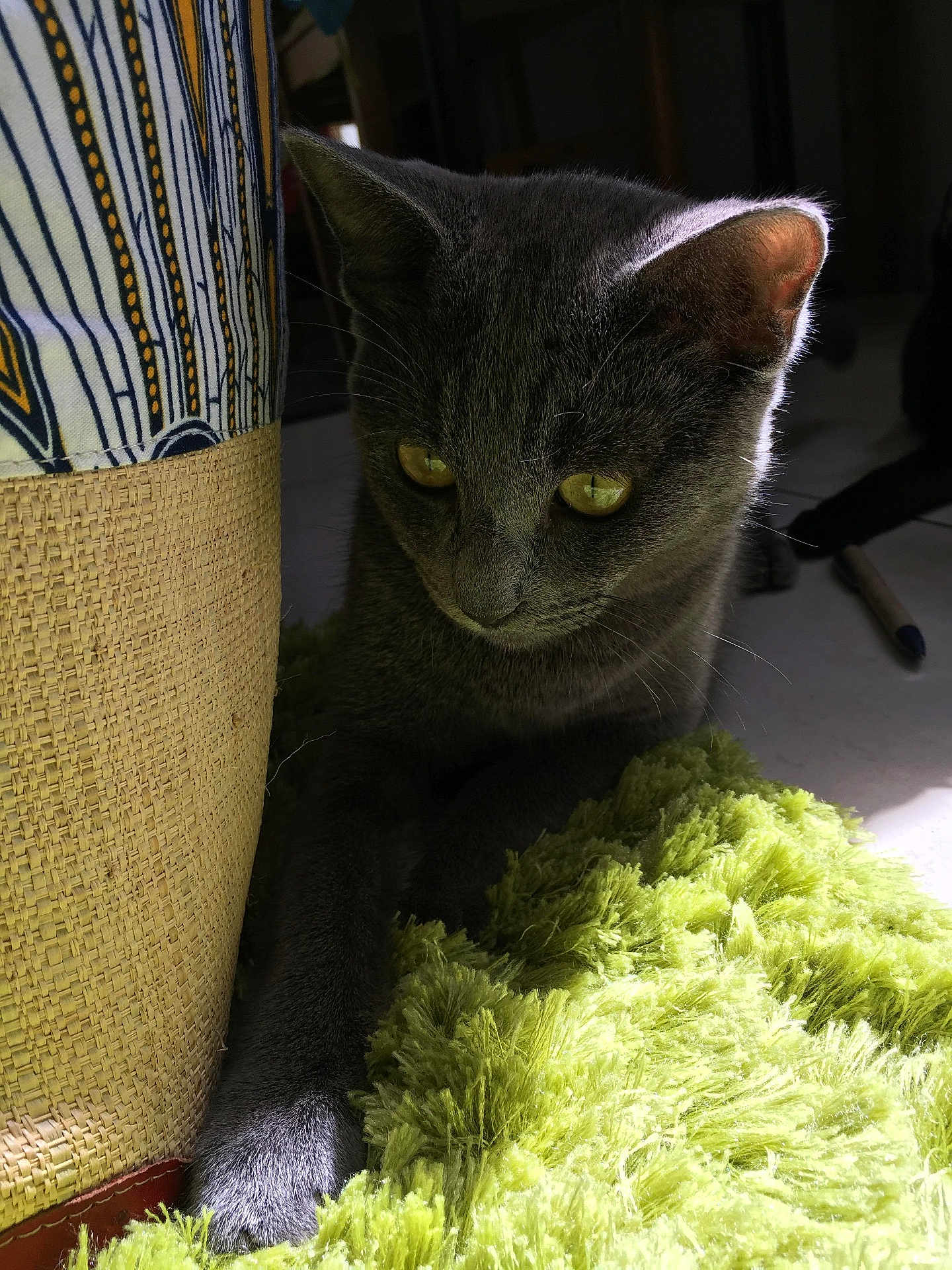 Moshi