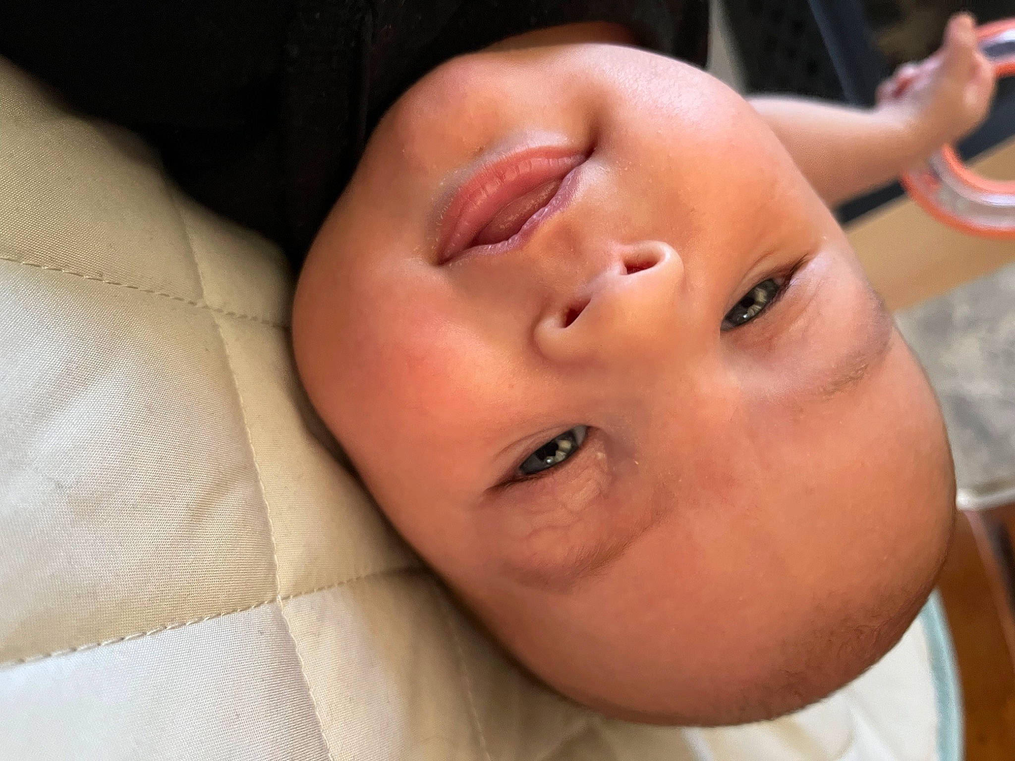Frankie joined the competition — help win amazing prizes! baby, cheek, child, chin, comfort, eyebrow, eyelash, happy, iris, lip, neck, no_expression, nose, person, portrait_photography, skin, smile, throat, toddler
