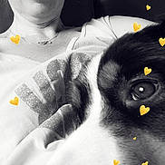 Ouna participe au concours pour gagner de l'argent avec cette photo : woman, dog, black_and_white, selfie, face, close_up, heart_overlay, pet, animal, nose, eye, smile, couch, indoor, casual_clothing, portrait, relaxation, love, companionship, furry_friend