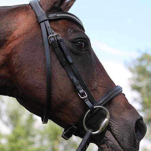 Nahomenia participe au concours pour gagner de l'argent avec cette photo :