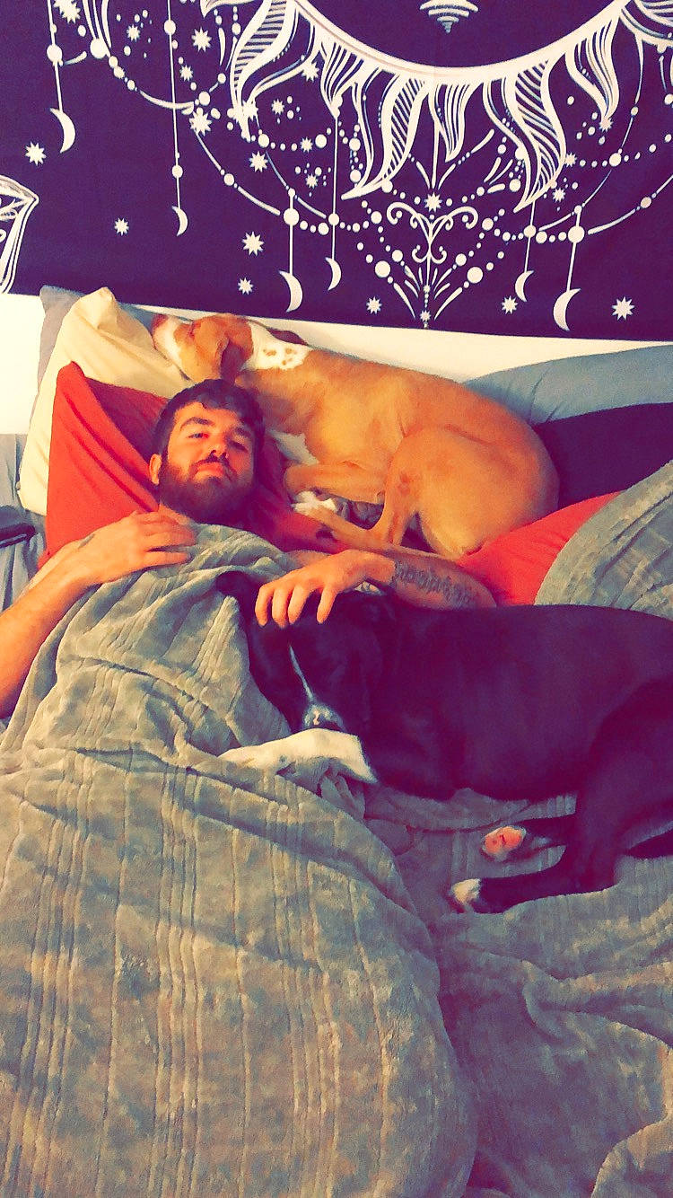 Liberty Aka Libby joined the competition — help win amazing prizes! bedtime, canidae, carnivore, companion_dog, dog, fawn, nap, person, sleep