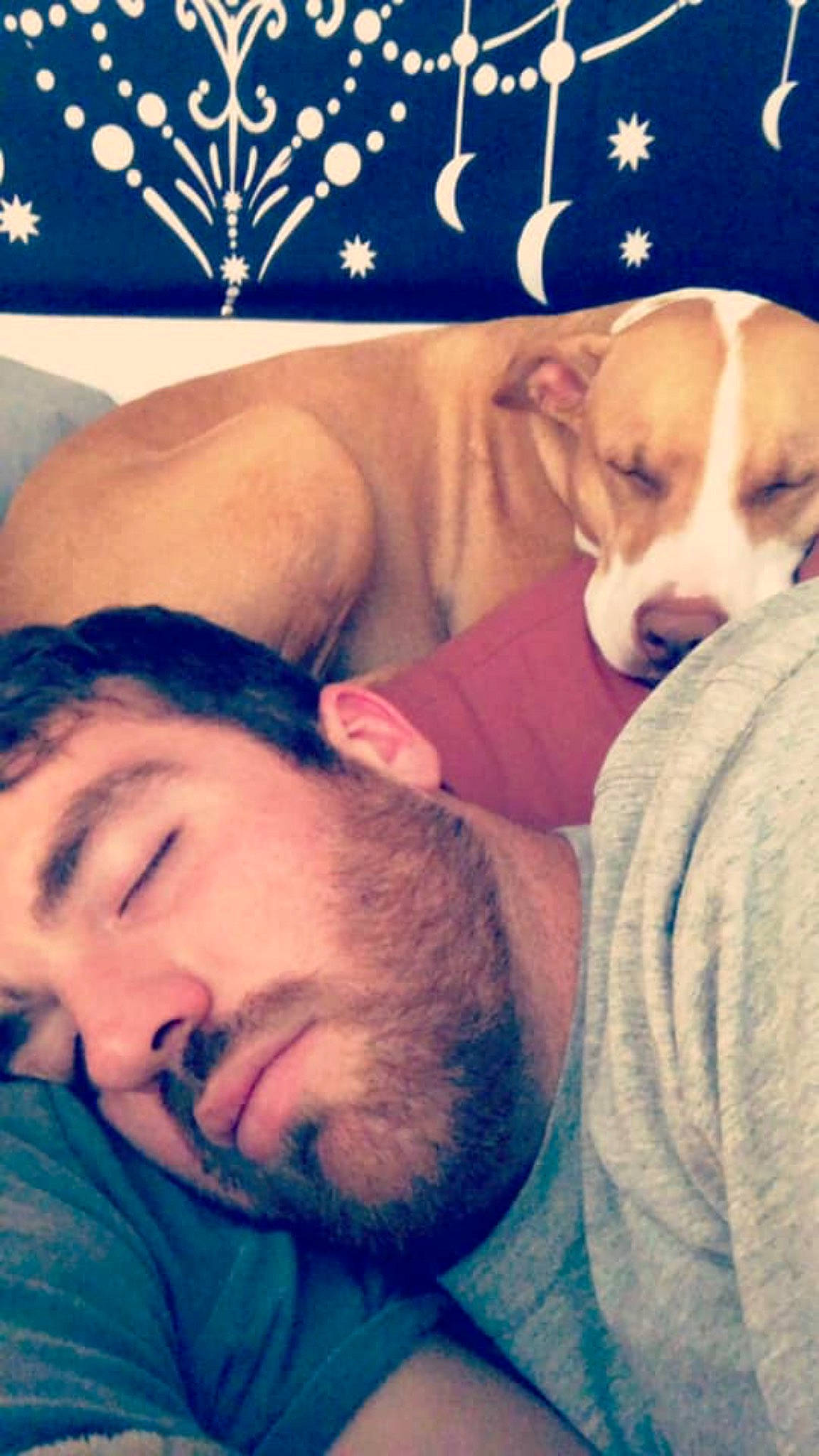 Liberty Aka Libby joined the competition — help win amazing prizes! bedtime, canidae, carnivore, companion_dog, dog, dog_breed, facial_hair, happy, head, love, nap, nose, person, puppy, puppy_love, selfie, sleep, smile, sporting_group