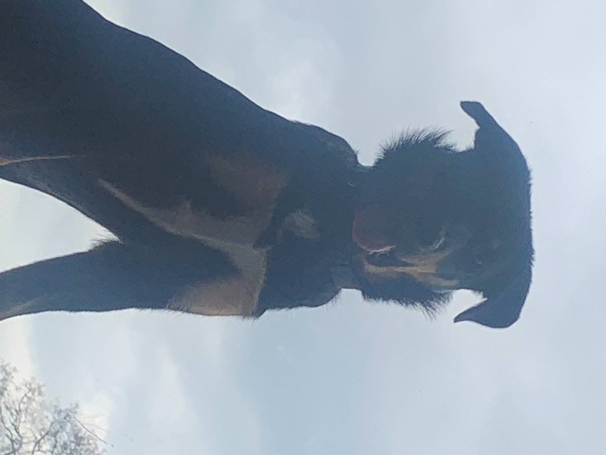 Zeus joined the competition — help win amazing prizes! arm, art, beak, cloud, eyewear, gesture, happy, monument, personal_protective_equipment, sculpture, seabird, sky, snout, statue, sunglasses, tree, water, wildlife, wing, winter