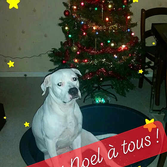 Leïcy