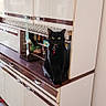 black_cat, cat, indoor, kitchen, cabinet, furniture, pet, domestic, yellow_eyes, curious, collar, hanging_items, wooden_surface, retro_style, cozy, window_light, floor, wall, home, animal