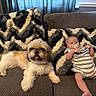 baby, dog, couch, pillow, living_room, pacifier, striped_clothing, fluffy_dog, pet, infant, relaxing, indoor, furniture, cute, companion, cozy, patterned, comfort, resting, home