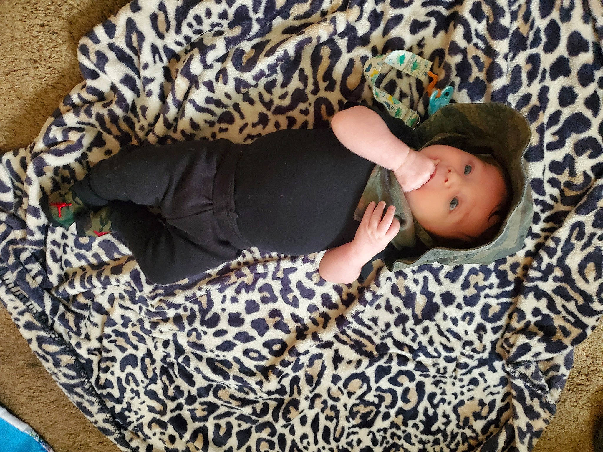 Karsyn joined the competition — help win amazing prizes! comfort, fawn, flooring, foot, fun, hat, headwear, human_leg, joint, leg, linens, pattern, person, sitting, sun_hat, sunglasses, textile, thigh, tree, trunk