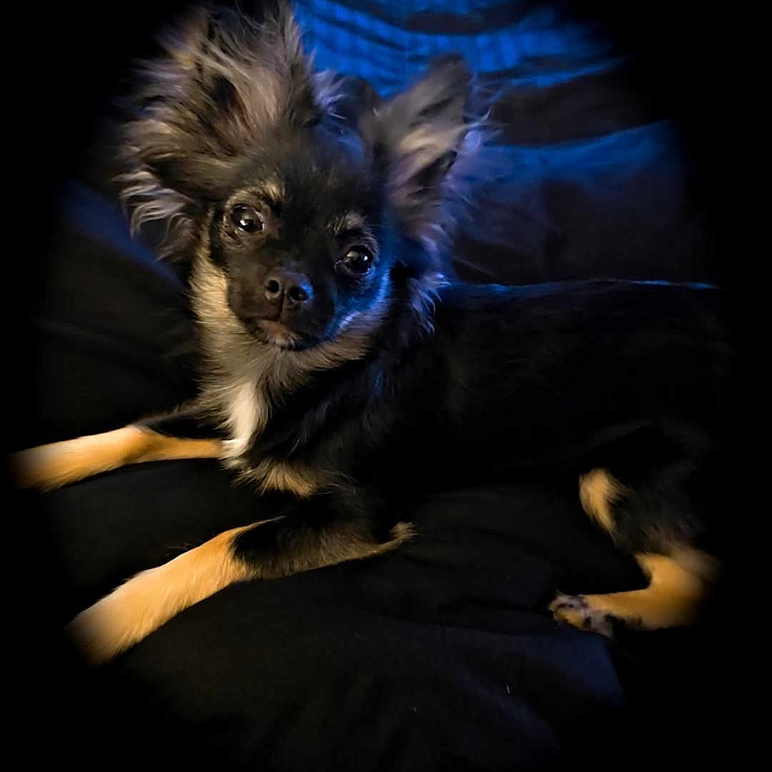 Baiko