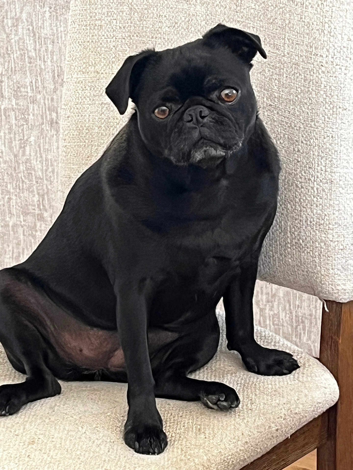 Coco