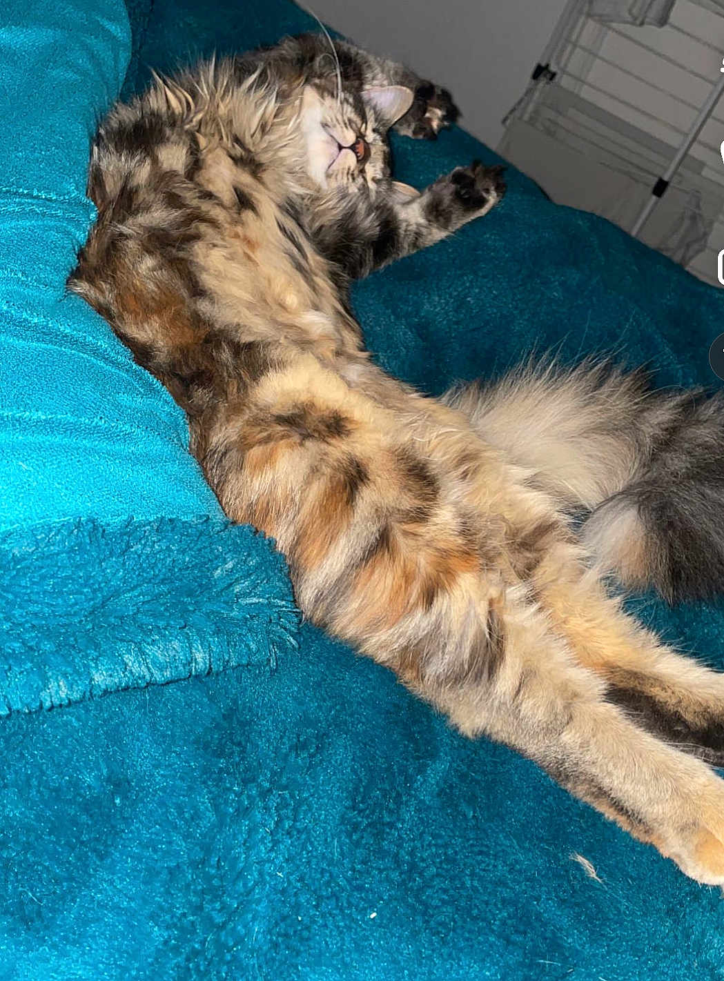 Louna
