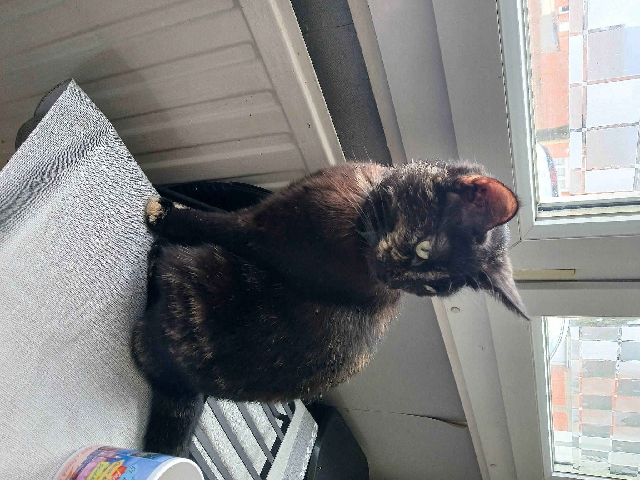 Lili